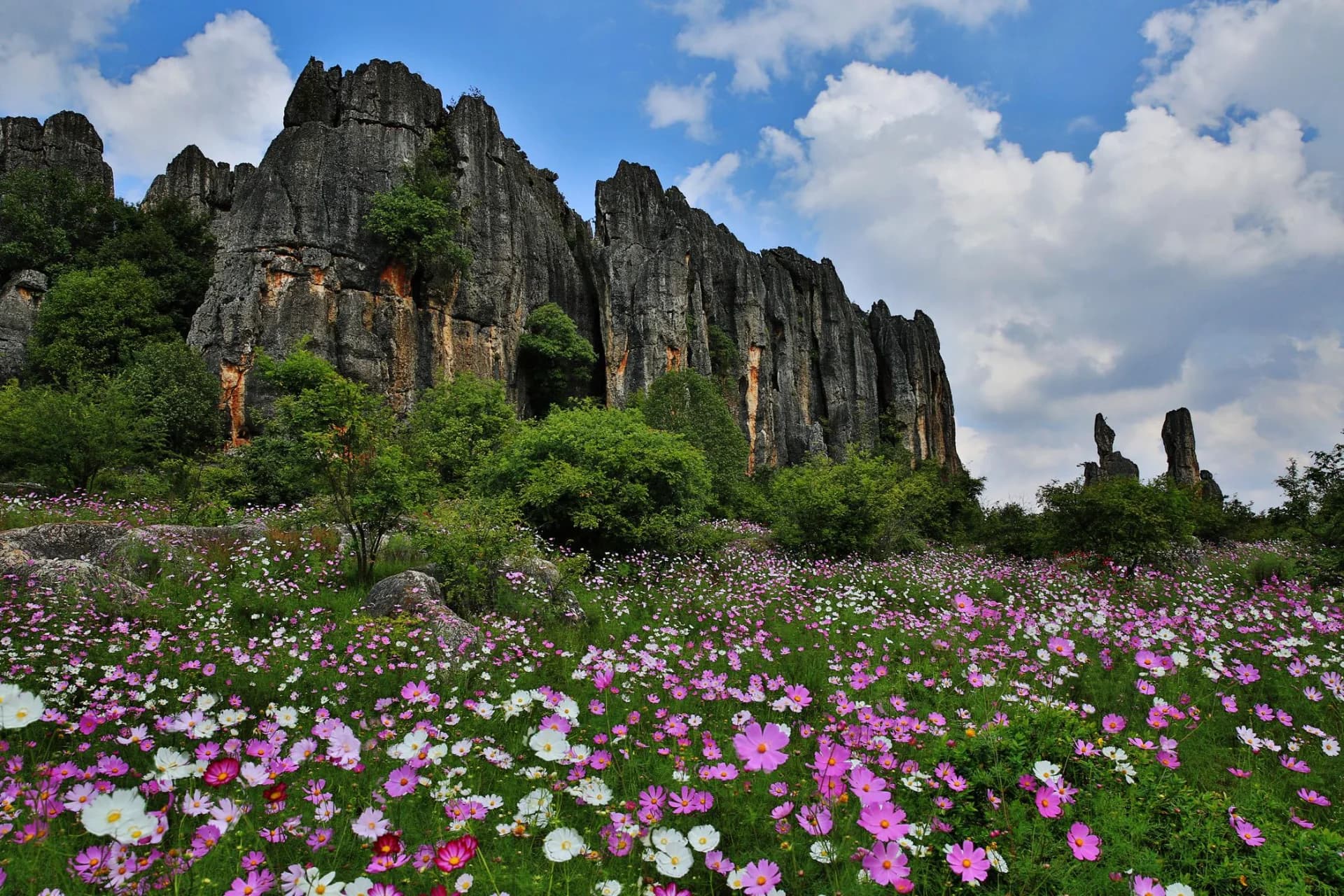 Stone Forest (Shilin)