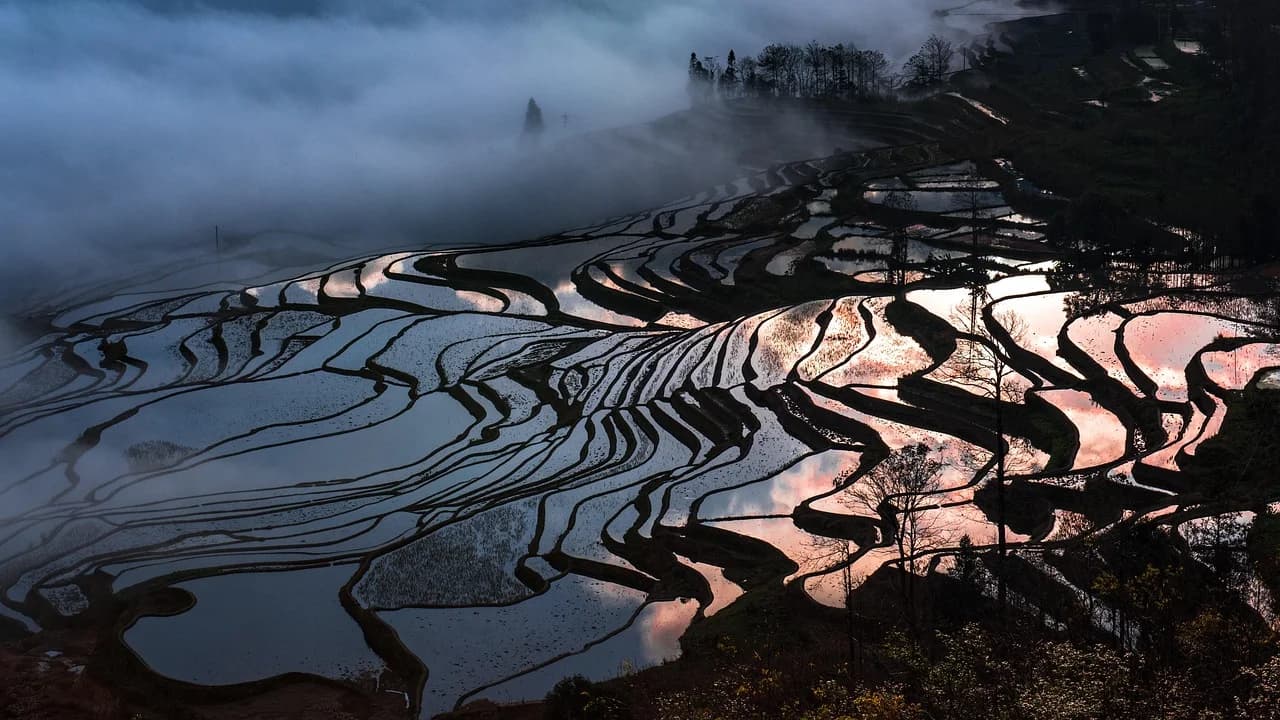 Yuanyang Rice Terraces at Sunrise