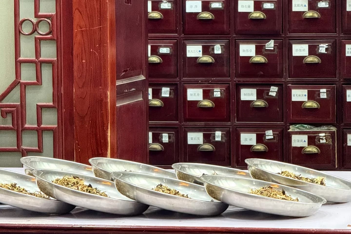 Traditional Chinese Medicine Experience - Image 3